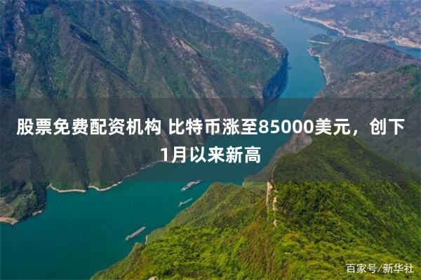 股票免费配资机构 比特币涨至85000美元，创下1月以来新高