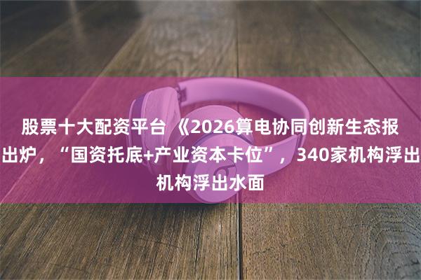 股票十大配资平台 《2026算电协同创新生态报告》出炉，“国资托底+产业资本卡位”，340家机构浮出水面