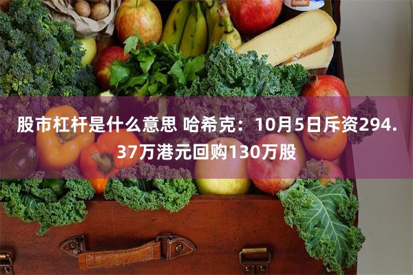 股市杠杆是什么意思 哈希克：10月5日斥资294.37万港元回购130万股