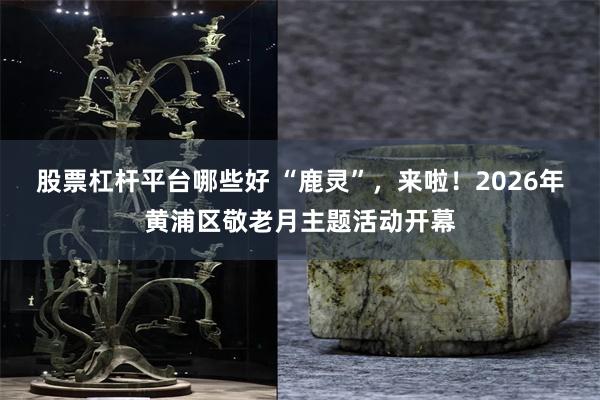 股票杠杆平台哪些好 “鹿灵”，来啦！2026年黄浦区敬老月主题活动开幕